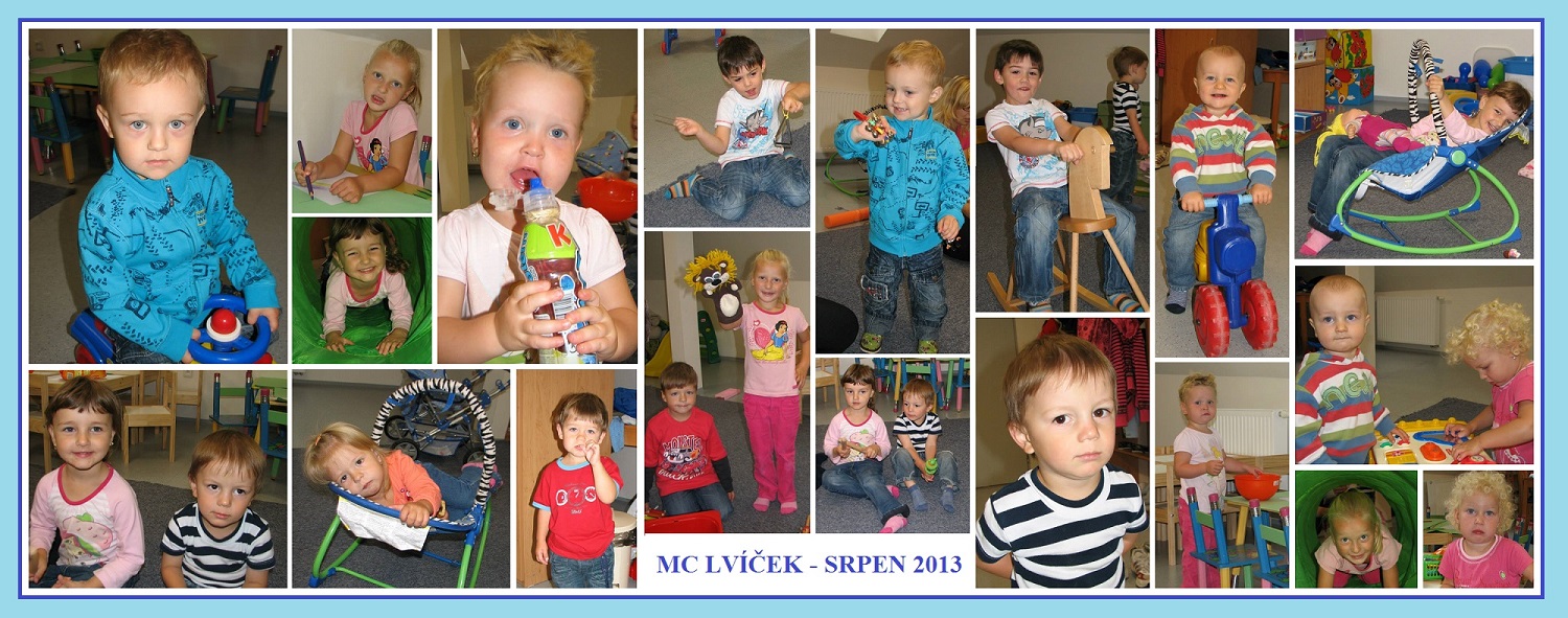 MCL - SRPEN 2013